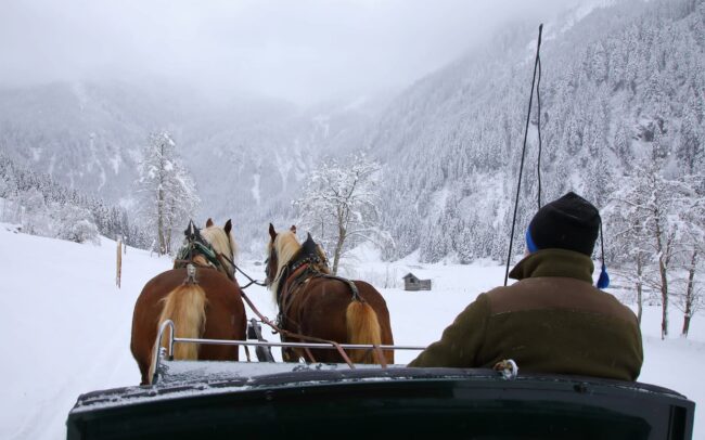 Pferdeschlittenfahrt bei winterlichen Bedingungen im Großarltal